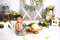 sunflowers