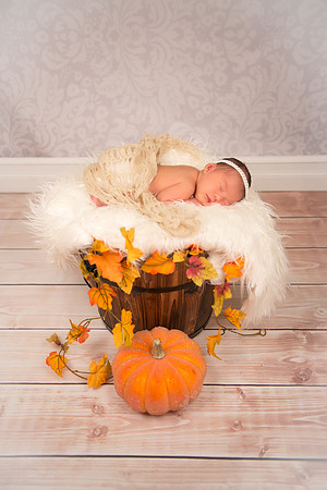 Pumpkin1