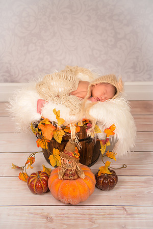 Pumpkin6