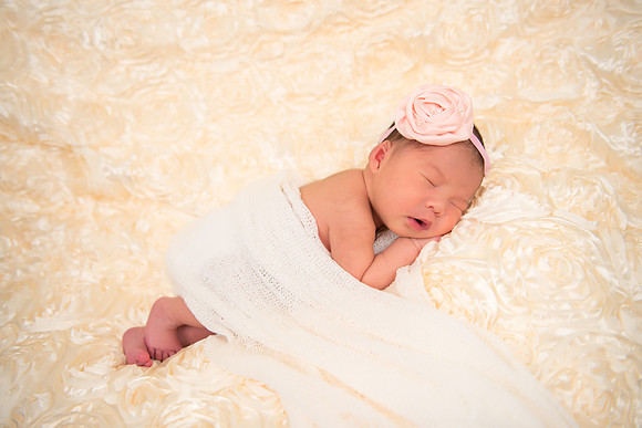 RoseBlanket5