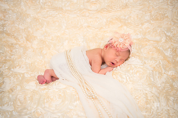 RoseBlanket8