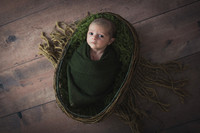 Medium Wood Floor, Green Basket