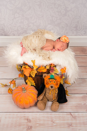 Pumpkin2