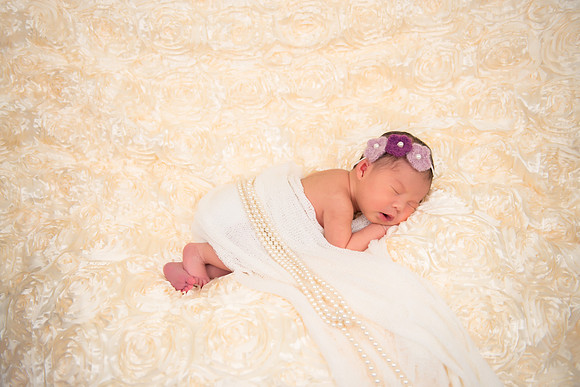 RoseBlanket9