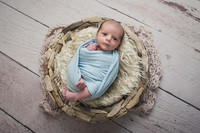 Drift Wood Bowl, Light Beige Floor, Light Blue Wrap