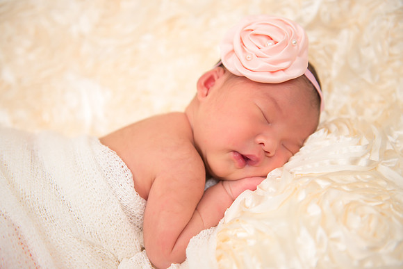 RoseBlanket4